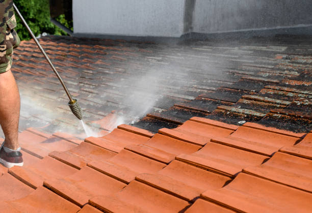 Best Roof Power Washing Services  in Beaver Falls, PA